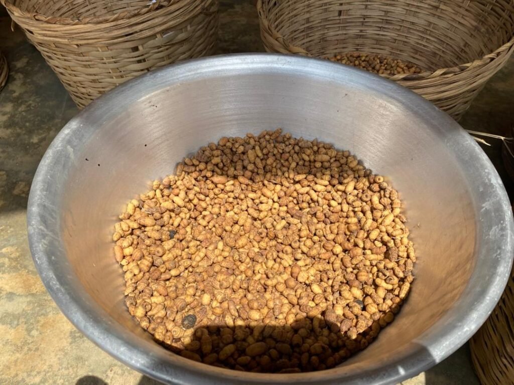 whatsapp image 2025 12 22 at 09.34.13 (1)