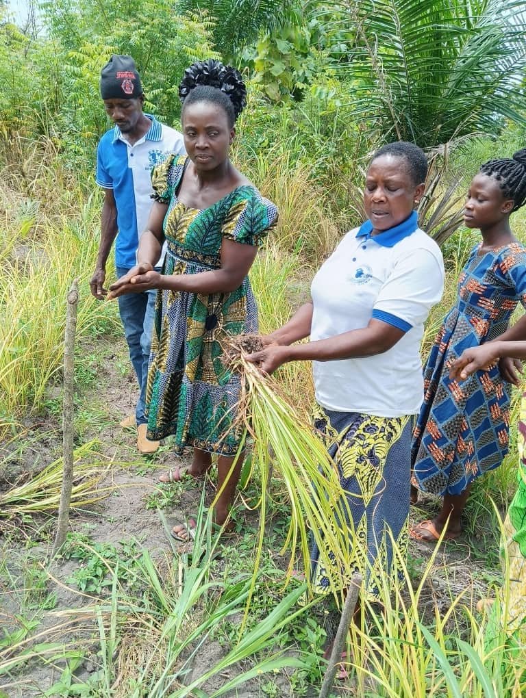 whatsapp image 2025 12 22 at 09.34.15 (1)